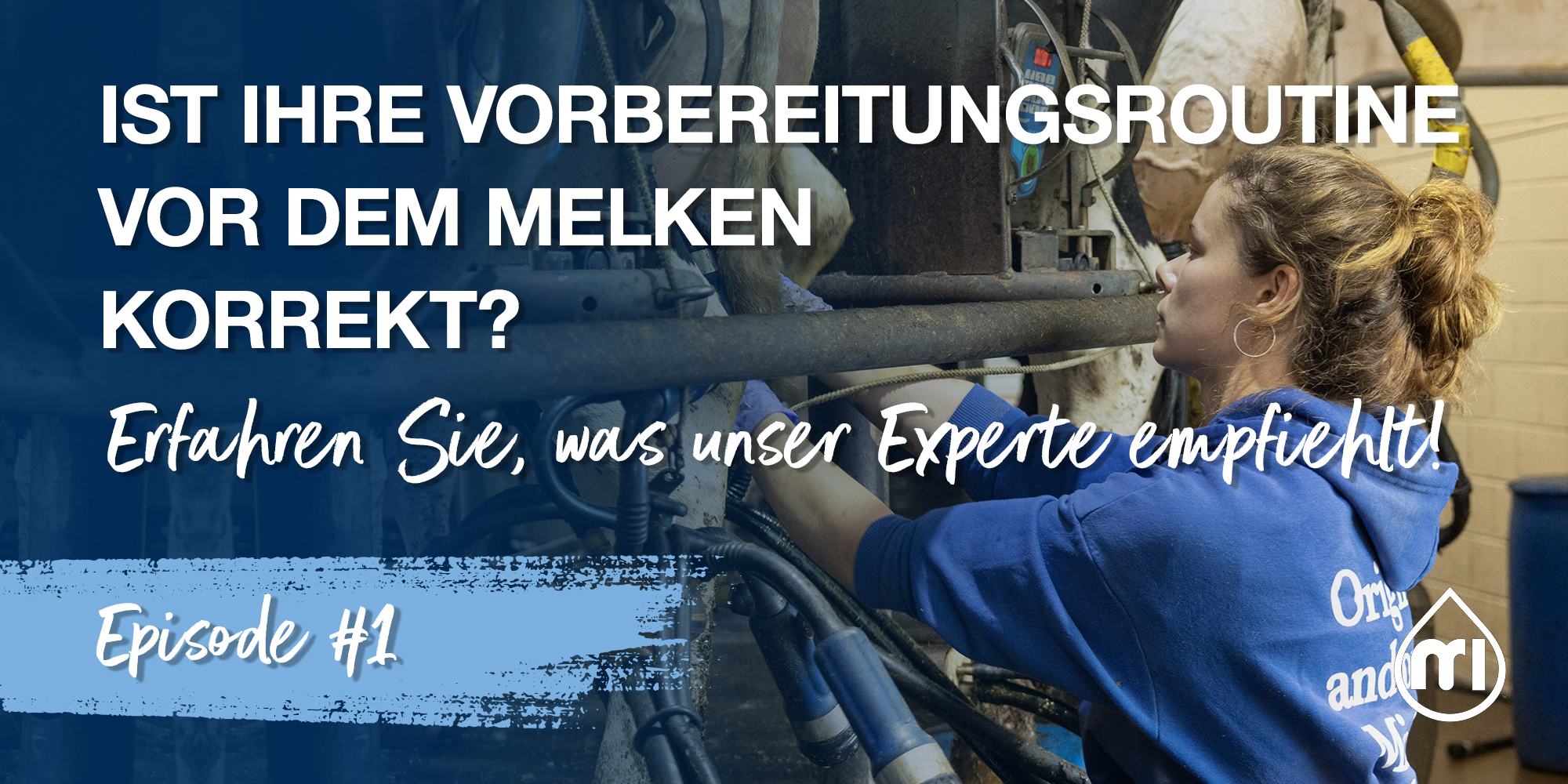 Ist Ihre Vorbereitungsroutine vor dem Melken korrekt? – Teil 1: Erfahren Sie, was unser Experte empfiehlt!
