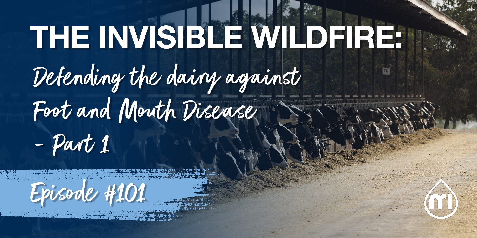 The invisible wildfire: defending the dairy against Foot and Mouth Disease – Part 1