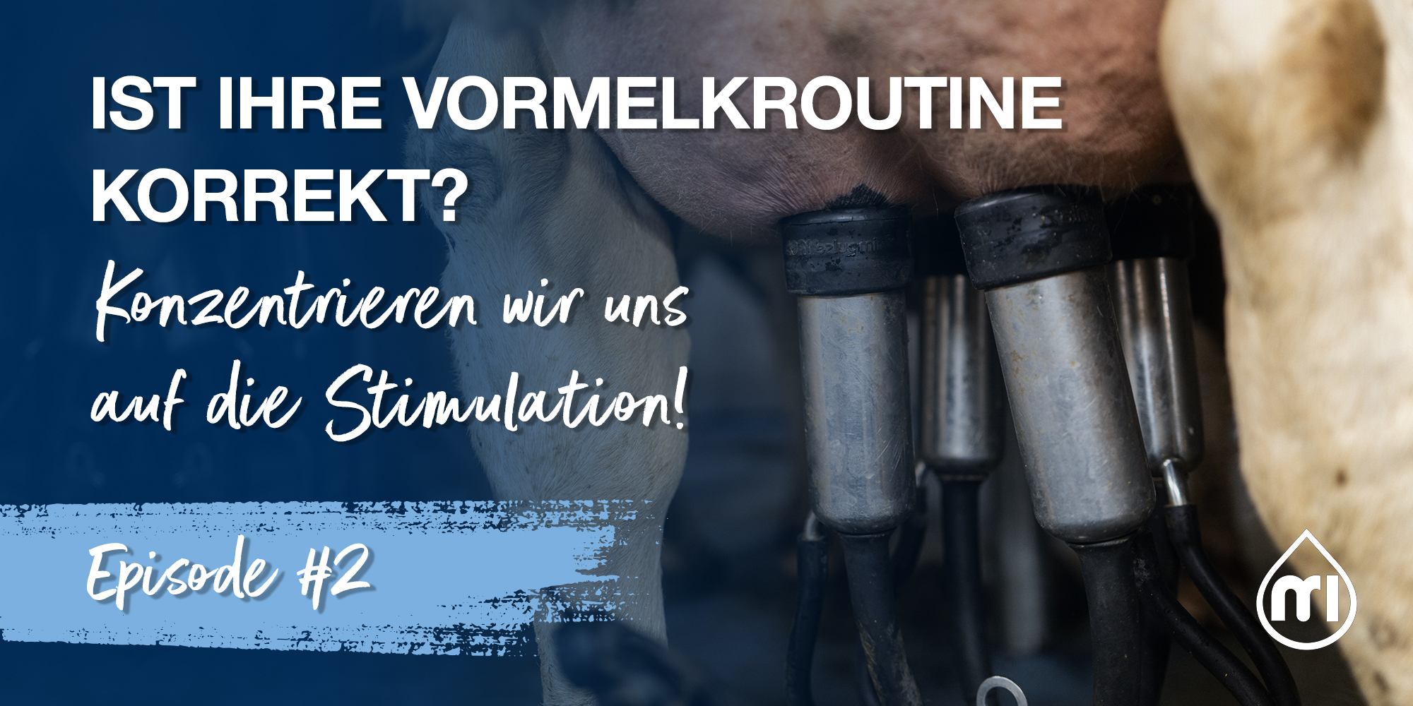 Ist Ihre Vormelkroutine korrekt? – Teil 2: Konzentrieren wir uns auf die Stimulation!