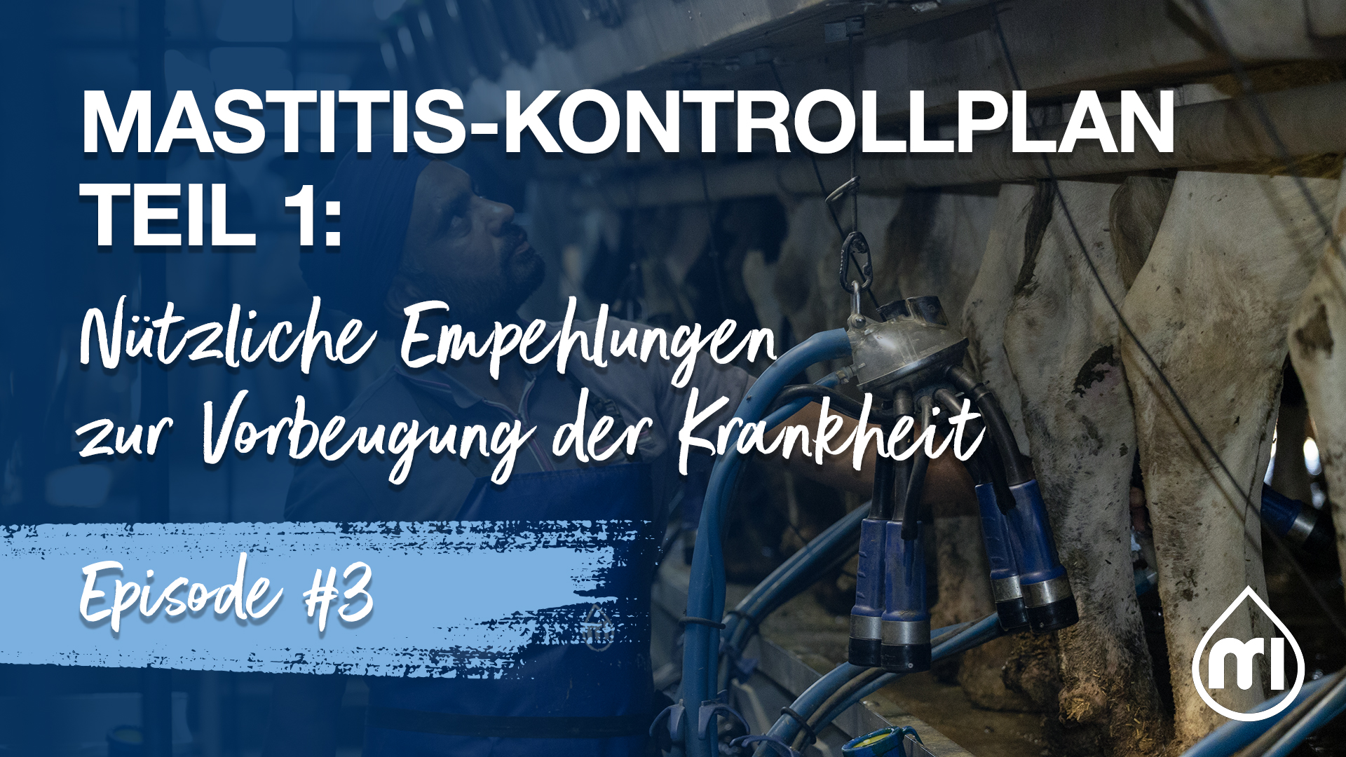 Mastitis-Kontrollplan