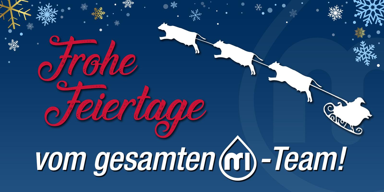 Christmas Banner GER