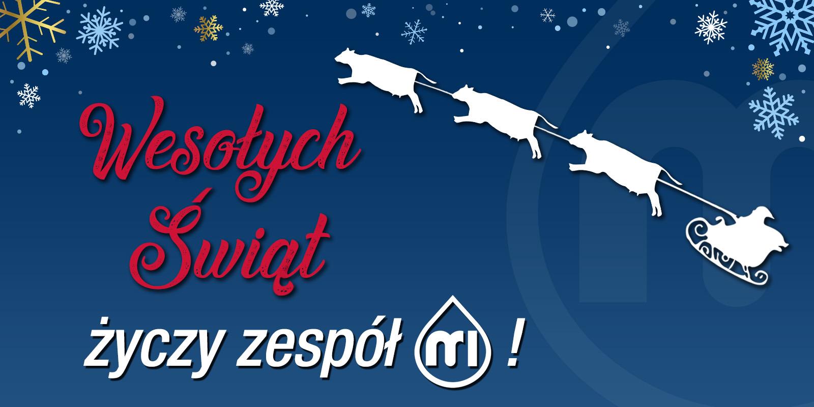 Christmas Banner POL