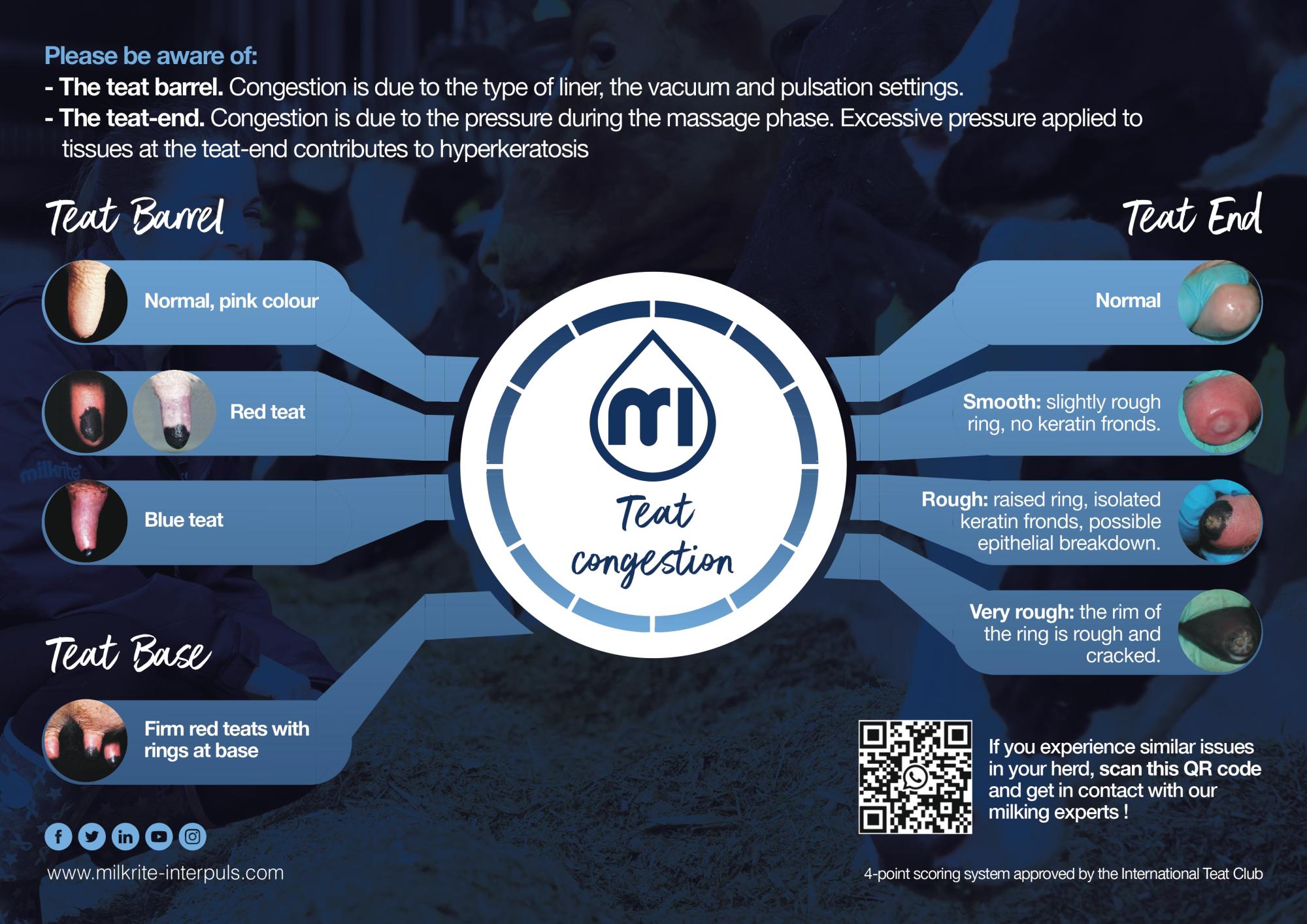Teat congestion scheme